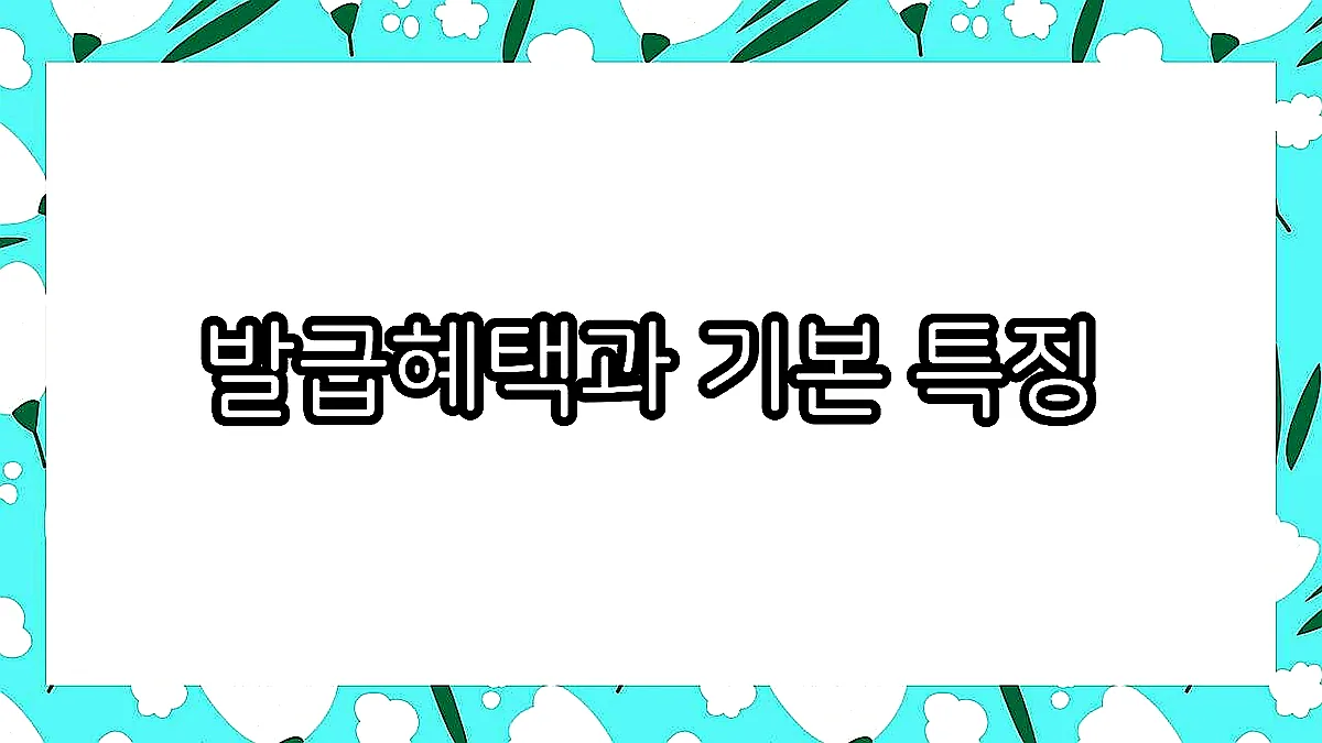 글의 발급혜택과 기본 특징 이미지 글의 발급혜택과 기본 특징 이미지