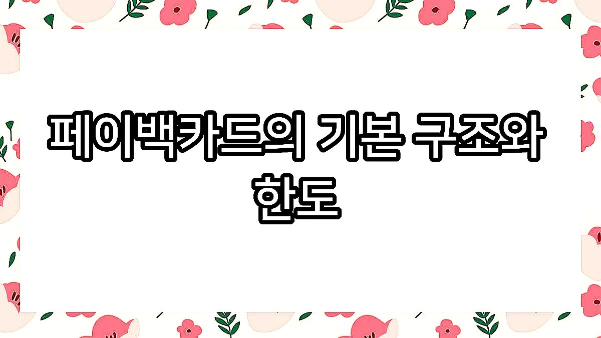 글의 페이백카드의 기본 구조와 한도 이미지 글의 페이백카드의 기본 구조와 한도 이미지