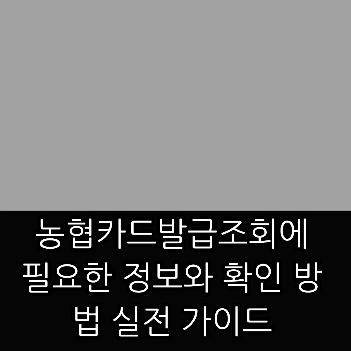 농협카드발급조회에 필요한 정보와 확인 방법 실전 가이드 썸네일 농협카드발급조회에 필요한 정보와 확인 방법 실전 가이드 썸네일