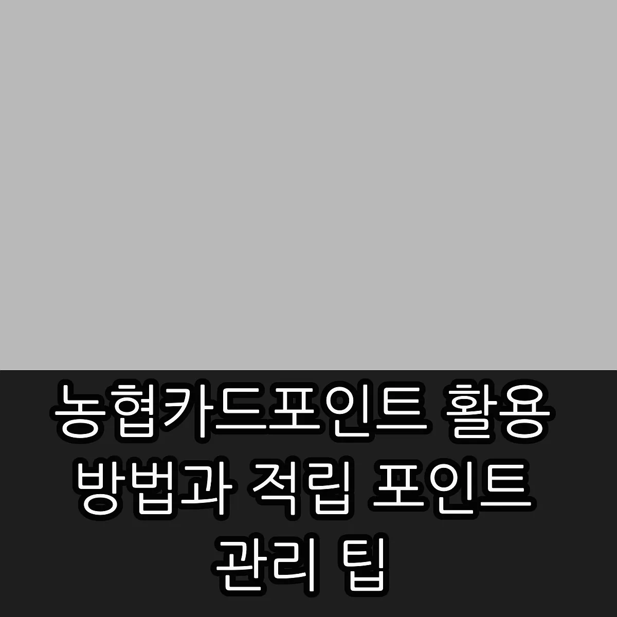 농협카드포인트 활용 방법과 적립 포인트 관리 팁 썸네일