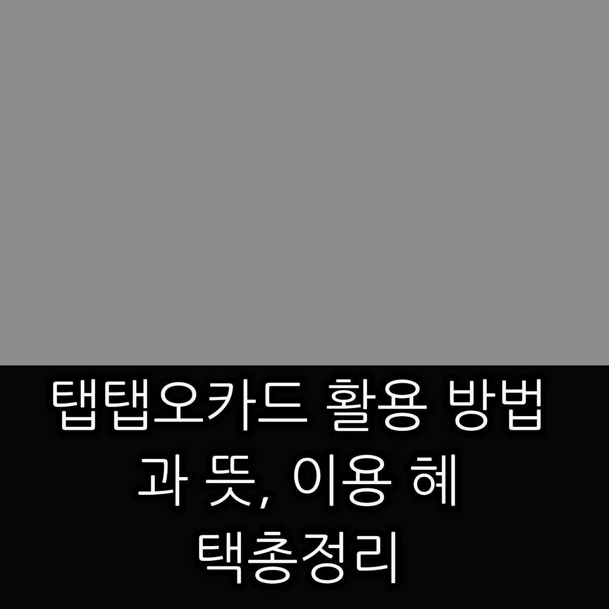 탭탭오카드 활용 방법과 뜻, 이용 혜택 총정리 썸네일